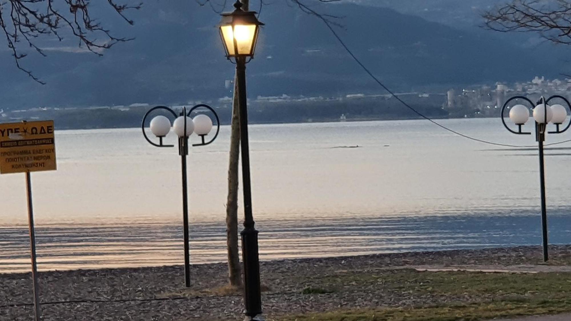 Nafpaktos Seaside Apartment Eksteriør bilde